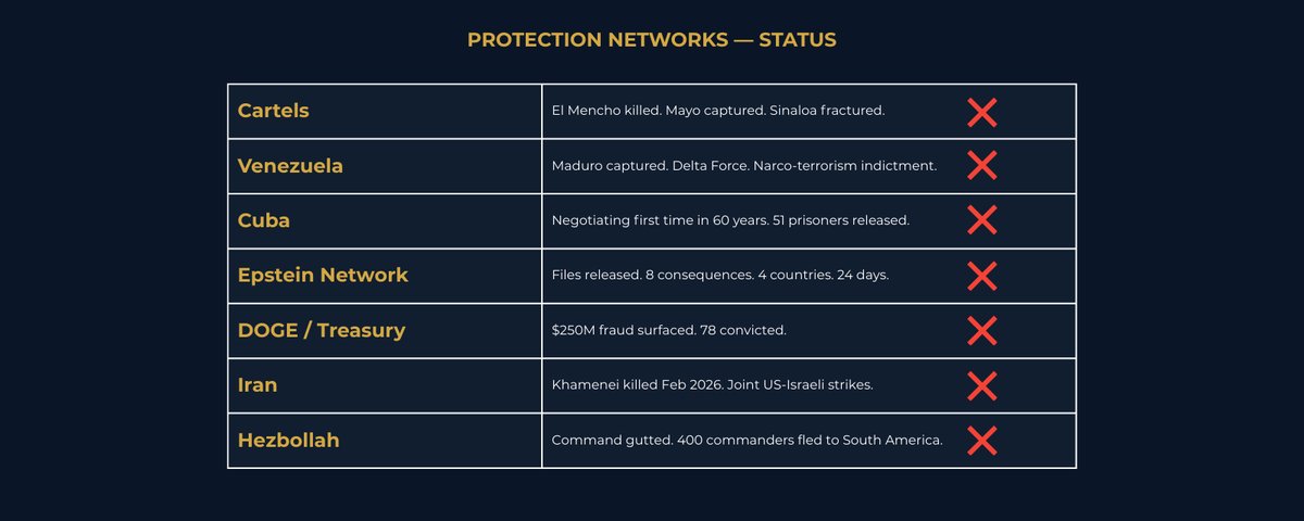Status grid showing seven protection networks being dismantled simultaneously: Cartels, Venezuela, Cuba, Epstein Network, DOGE Treasury fraud, Iran, and Hezbollah. All marked eliminated.